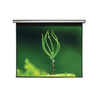 Компания VEGA представляет моторизированные экраны MW Electric Screen White