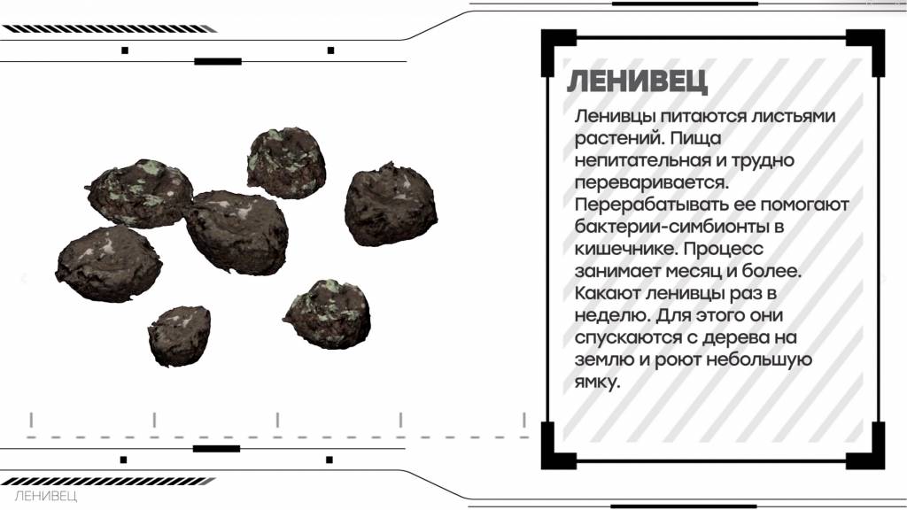 Снимок экрана 2024-04-04 122146.jpg