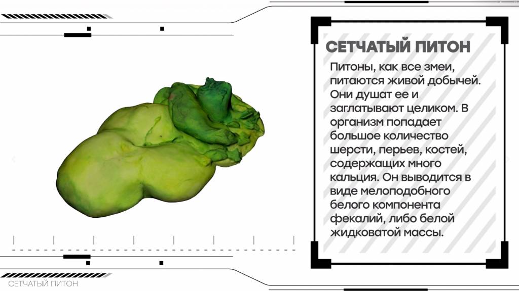 Снимок экрана 2024-04-04 122038.jpg